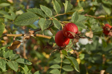 Similar image 21898042