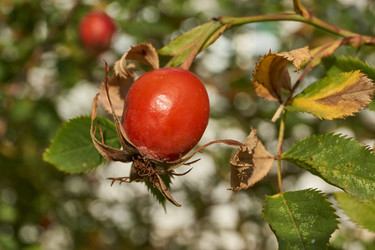 Similar image 21898398