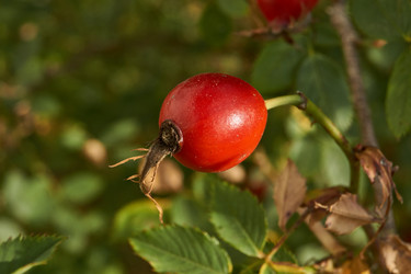 Similar image 21898399