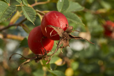 Similar image 21898401