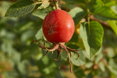 Similar image 21898403