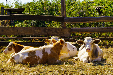 Similar image 21898880