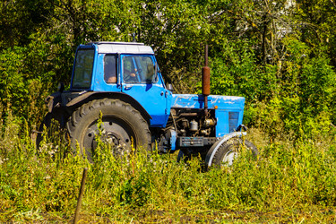 Similar image 21904732