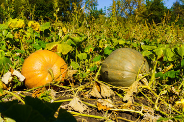 Similar image 21904734