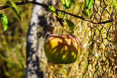 Similar image 21904738