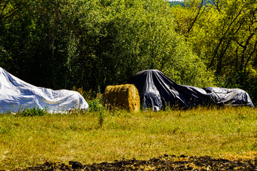 Similar image 21904739