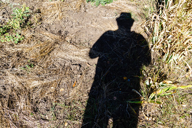 Similar image 21904740