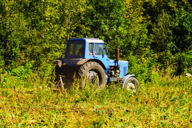 Similar image 21906620