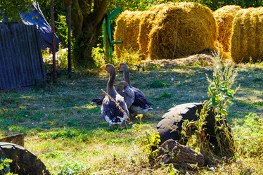 Similar image 21906625