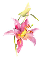 Similar image 21897594