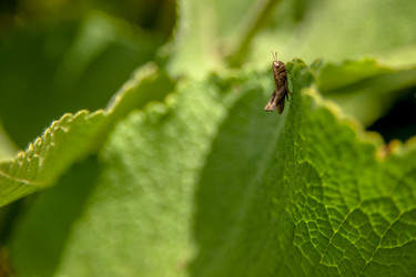 Similar image 21907405