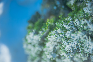 Similar image 21907407