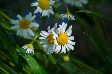 Similar image 21907408