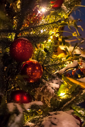 Similar image 21907409