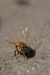 Similar image 21907410