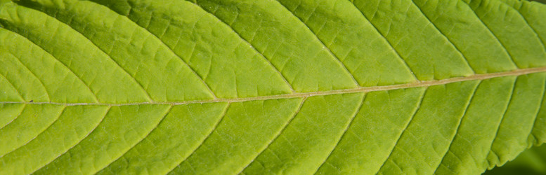 Similar image 21907411