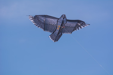 Similar image 21907416