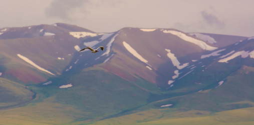 Similar image 21907419