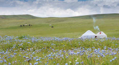 Similar image 21907421