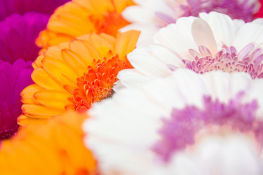 Similar image 21907425