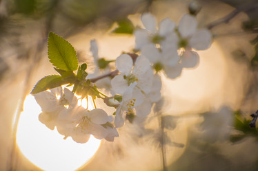 Similar image 21907428