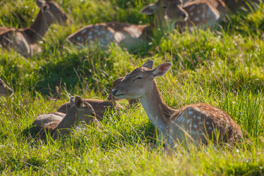 Similar image 21907434