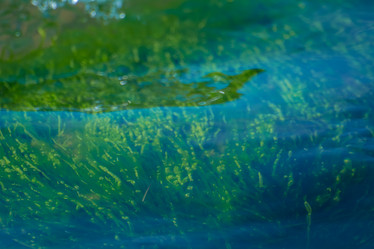 Similar image 21907447