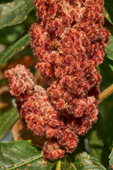 Similar image 21898407