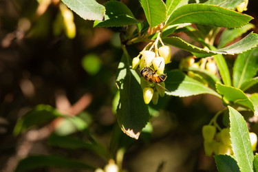 Similar image 21899622