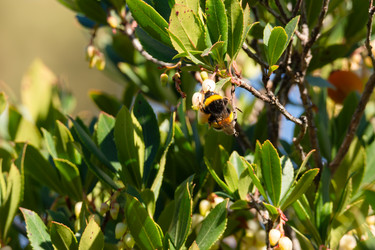 Similar image 21899624