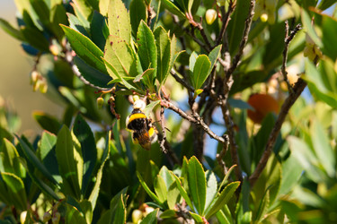 Similar image 21899625