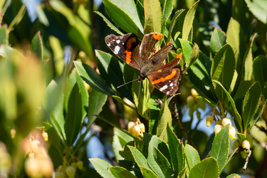 Similar image 21899626