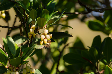 Similar image 21899627