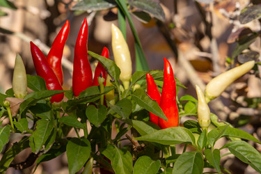 Similar image 21899629