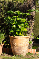 Similar image 21899630