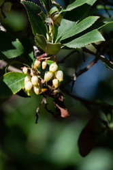 Similar image 21899631