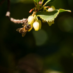 Similar image 21899632