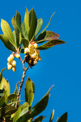 Similar image 21899634