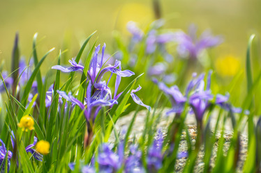 Similar image 21907449