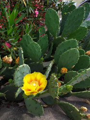 Similar image 21897865