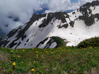 Similar image 21897867