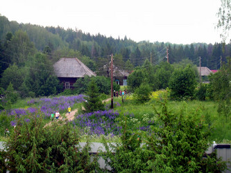 Similar image 21897861