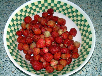 Similar image 21897862