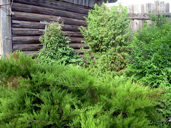 Similar image 21897863