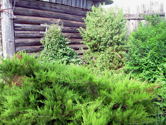 Similar image 21897869