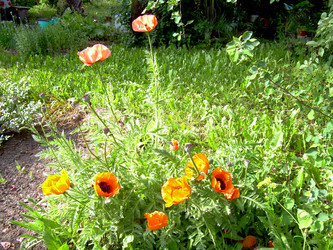 Similar image 21897870