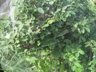 Similar image 21897871