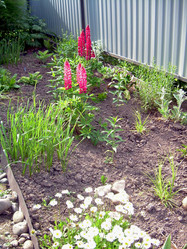 Similar image 21897873