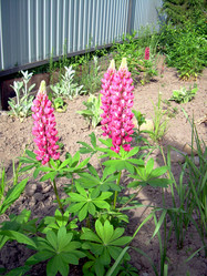 Similar image 21897875