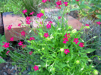 Similar image 21897876